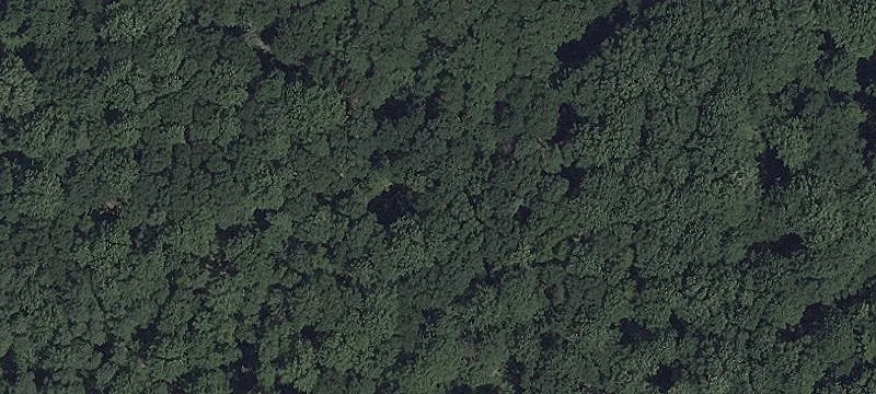 213 Acres Woodland Oasis