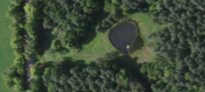 25 Acres of Recreational Land