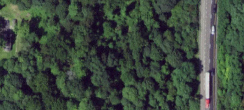 Residential Land in Wooded Setting
