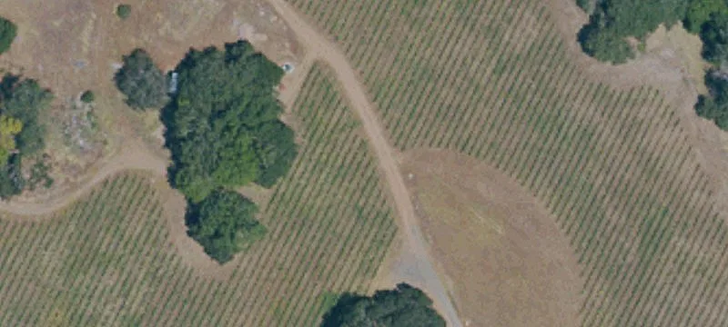 Wine Country Estate Opportunity