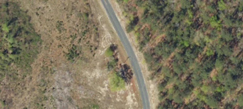 78.81 Acres of Wooded Land