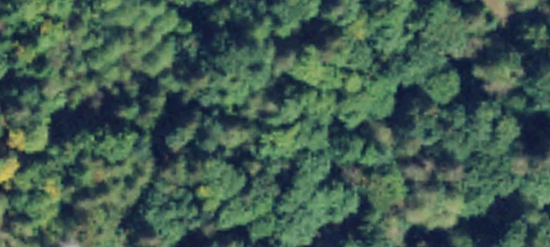 5.5 Acre Mountain View Property