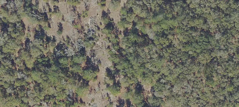 Land Near Gainesville-Hawthorne Trail
