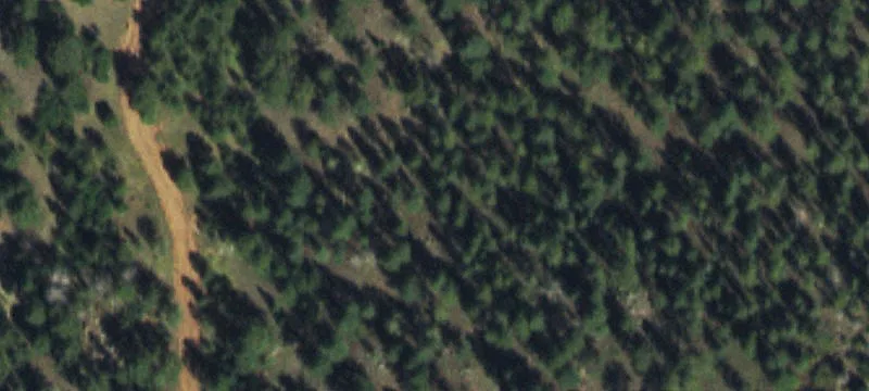 20 Acres in Bear Trap Ranch