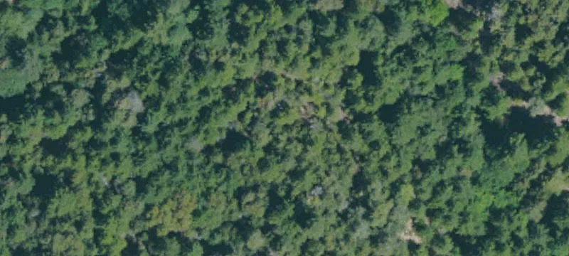 Rural Property with Private Landing