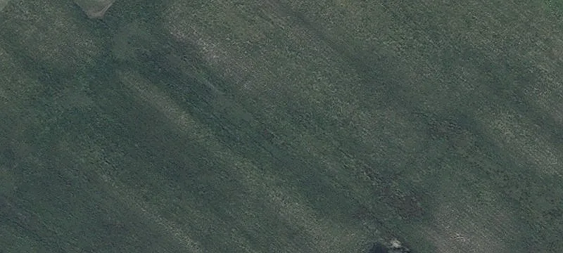16-Acre Hunting and Recreational Land