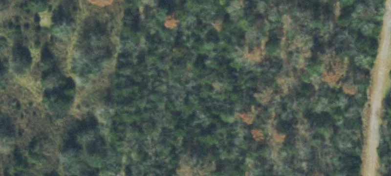 Nolensville Land Parcel For Sale