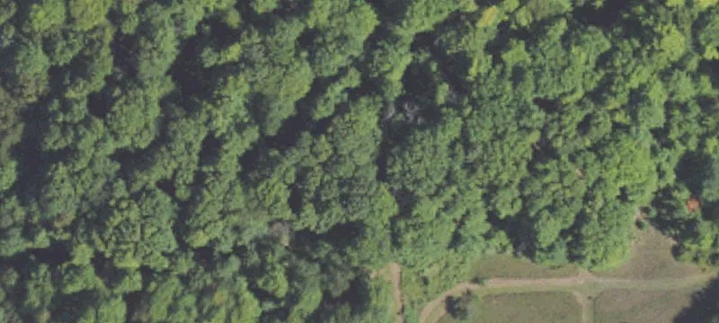 60 Acres Ready-to-Build Land