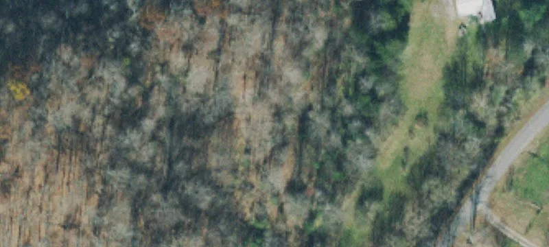 Land with Mobile Home