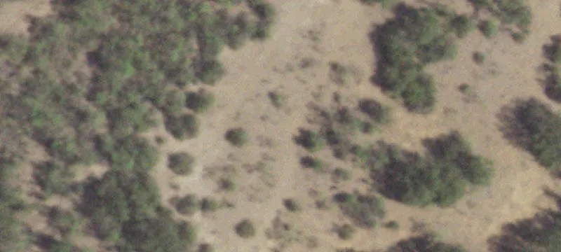 Texas Ranch with Varied Terrain