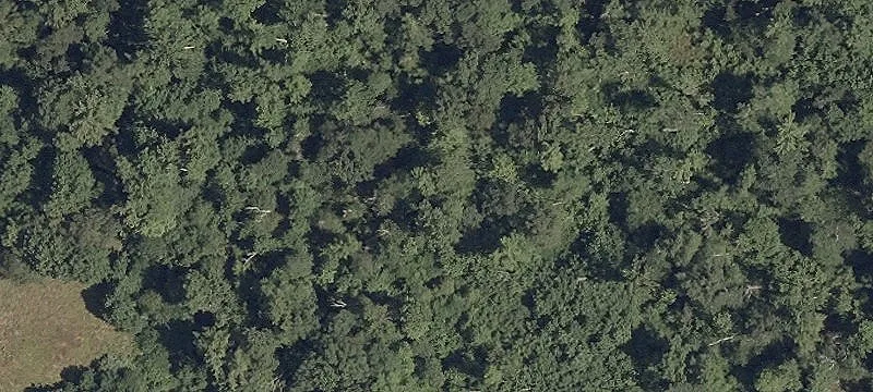 10 Acres Wooded Land Townsend