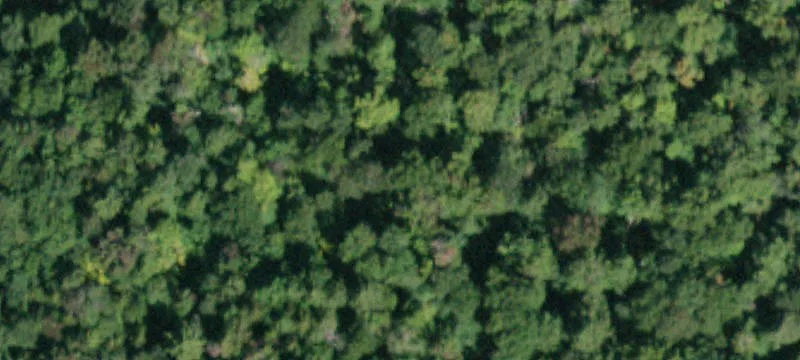 Land Parcel in Caroga Lake