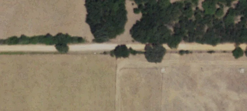 Pecan Orchard Land For Sale