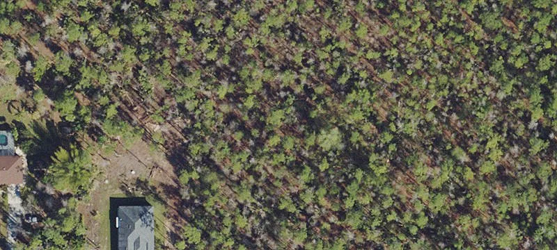 Golden Gate Land For Sale