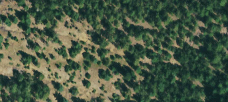 8.2 Acre Boulder County Land