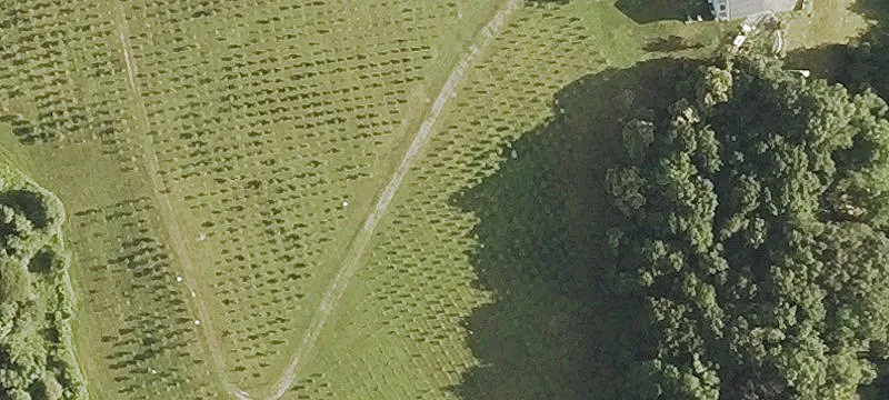 Income-Producing Blueberry Farm with Residence