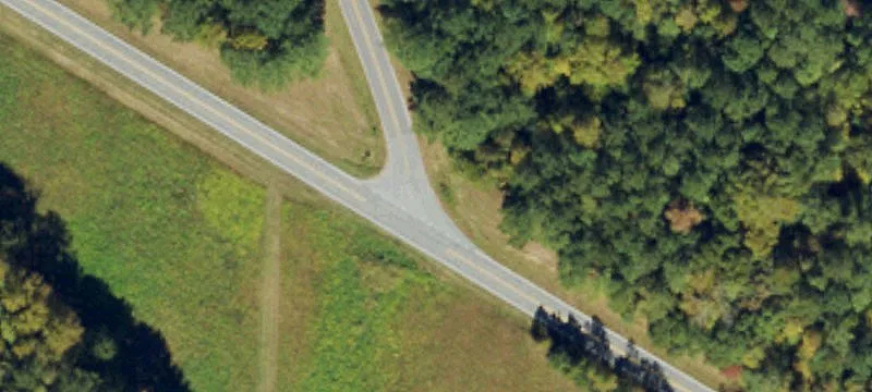 Chapel Hill Timber Investment Opportunity