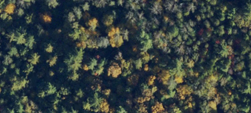 Secluded Land in Wilkes County