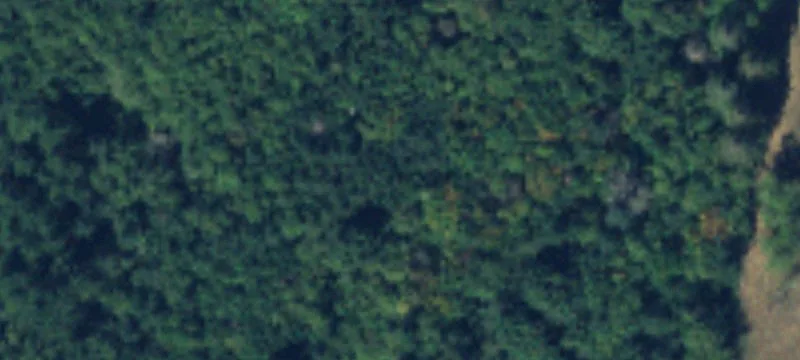21+ Acres with Rainier View