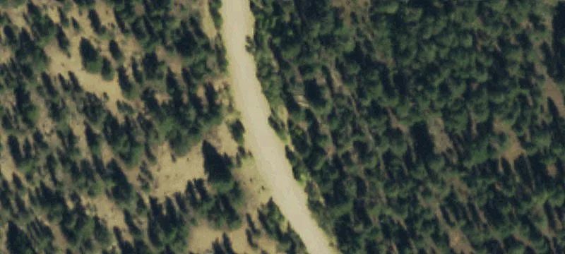 Residential Lot with Trees