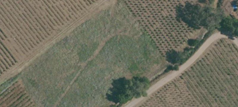 Dry Creek Winery Development Opportunity