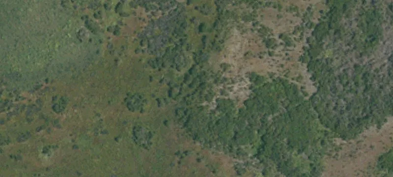 Carmel Valley Build-Ready Lot