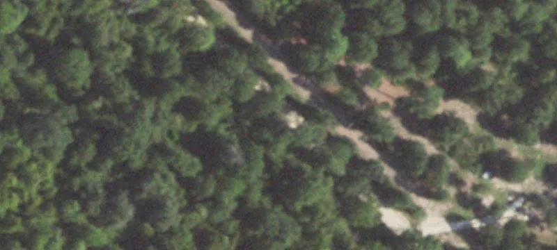 East Texas Hunting and Recreation