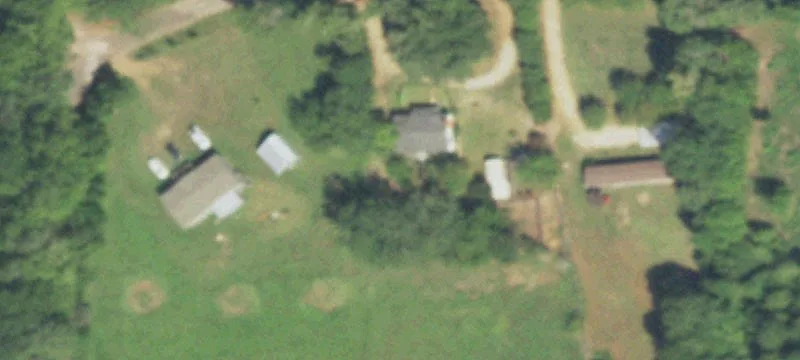 East Texas Pineywoods Land Parcel