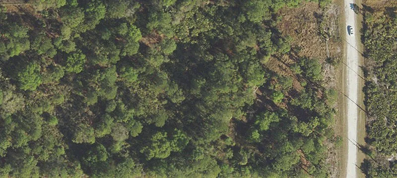 Cleared Land Parcel in Montura