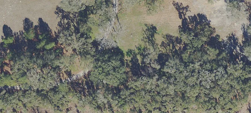 Cleared Florida Land Opportunity