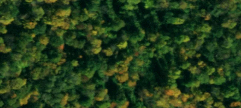 90 Acres Near Ellicottville