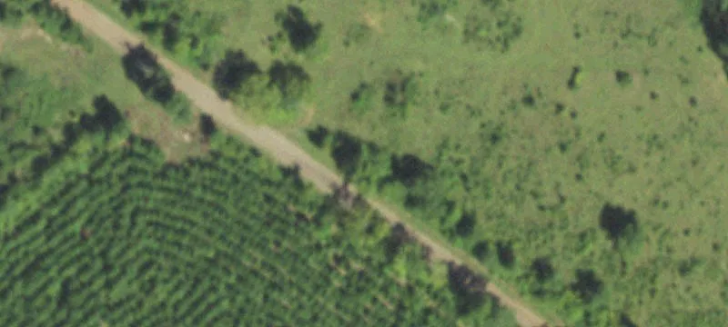 20 Acre Property Near Mt Enterprise