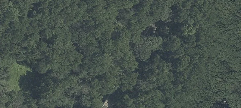 Approved Lot for Custom Home