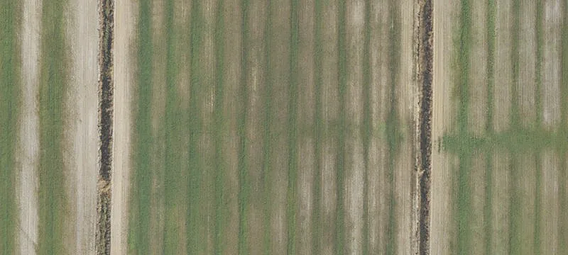 LaBelle Agricultural Land for Sale