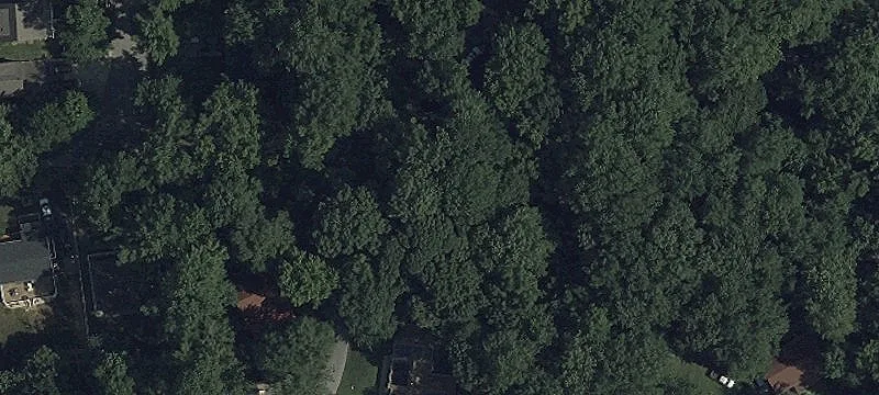 Flag Harbor Homesite Opportunity