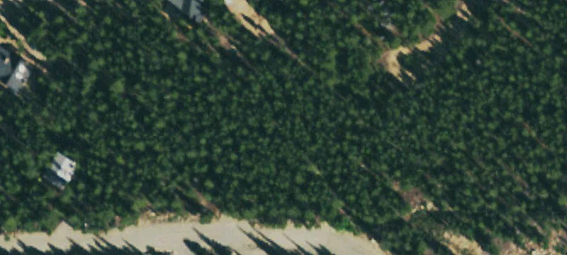 Forested Lot Near St. Mary's