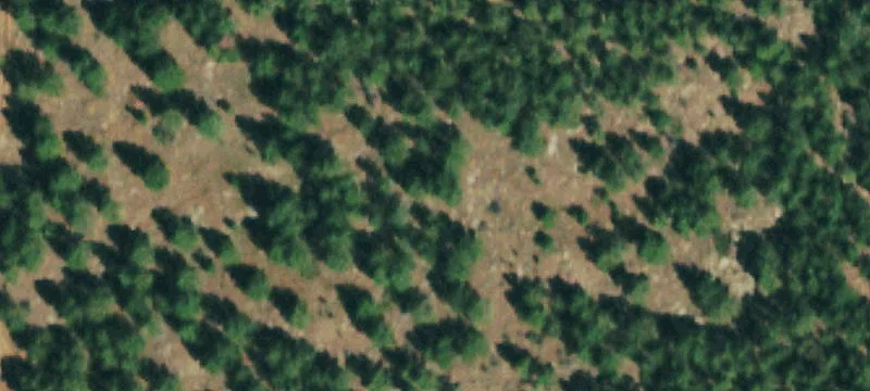 Colorado Land with Mountain Views