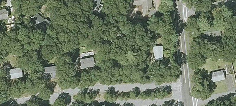 Wooded Lot in Mashpee