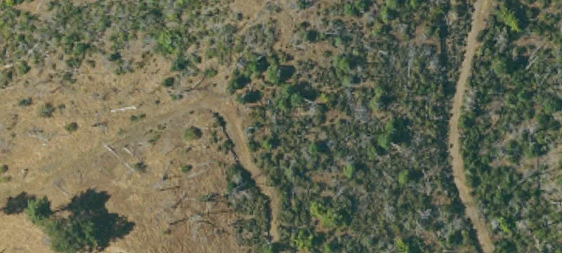 El Dorado Cannabis Farm Opportunity