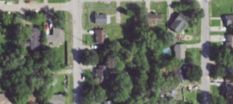 Spacious Lot with Mature Trees