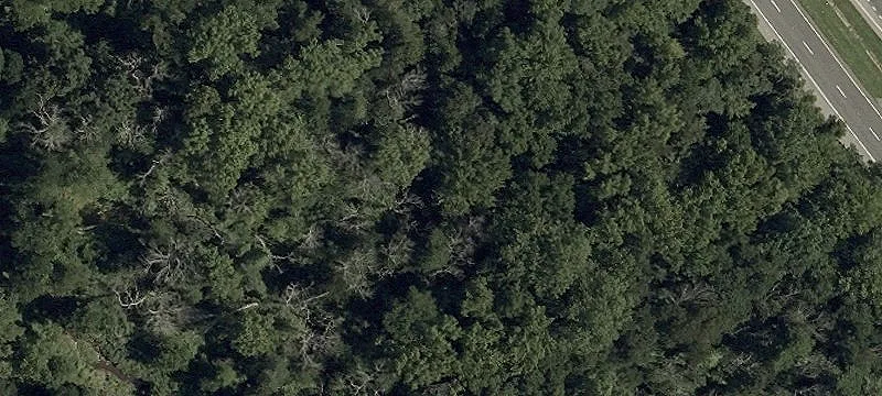 7.68 Acres on Dupont Highway