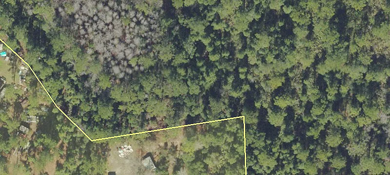 4.4 Acres in Citra, Florida