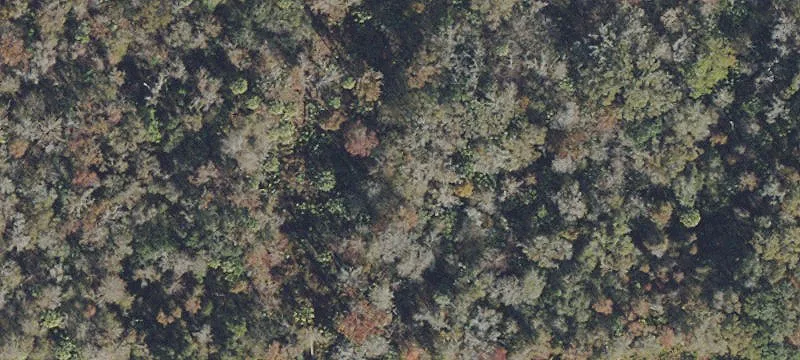 Crystal Manor Acreage Opportunity