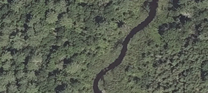 Wooded Lots in Bangor, Maine