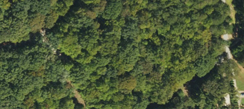Wooded Lot for New Home