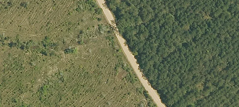 Tangipahoa Parish Hunting Land