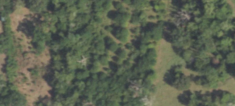 7-Acre Wooded Land in Midway
