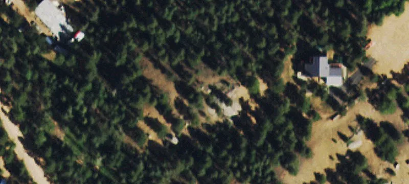 Pine-Covered Lot with Mountain Views