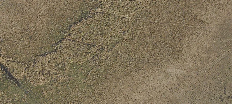 326.50 Acres in Clewiston, FL
