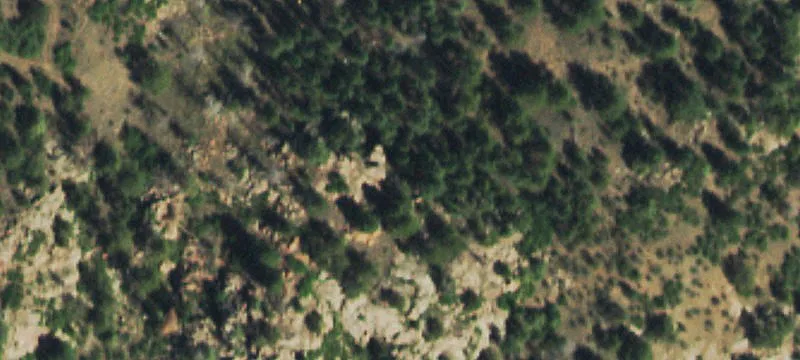 Mountain Land Parcel in Florissant